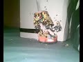M15 A2 Rifle ASG Tuned (2) M15 A2 Rifle ASG Tuned (2)