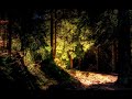 XsToRmEr1 - The Forest Of Brambles