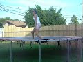 Me on the trampoline