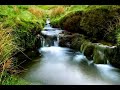Coldplay - Cemeteries of London [ Slideshow ]