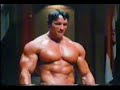 tribute to Arnold Schwarzenegger tribute to Arnold Schwarzenegger