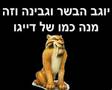 par luffo IASA - פאר לופו יאסא בוריס לא קיים