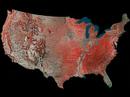 Zombie nation