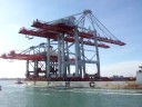 2 Crane container ZPMC for Dunkerque