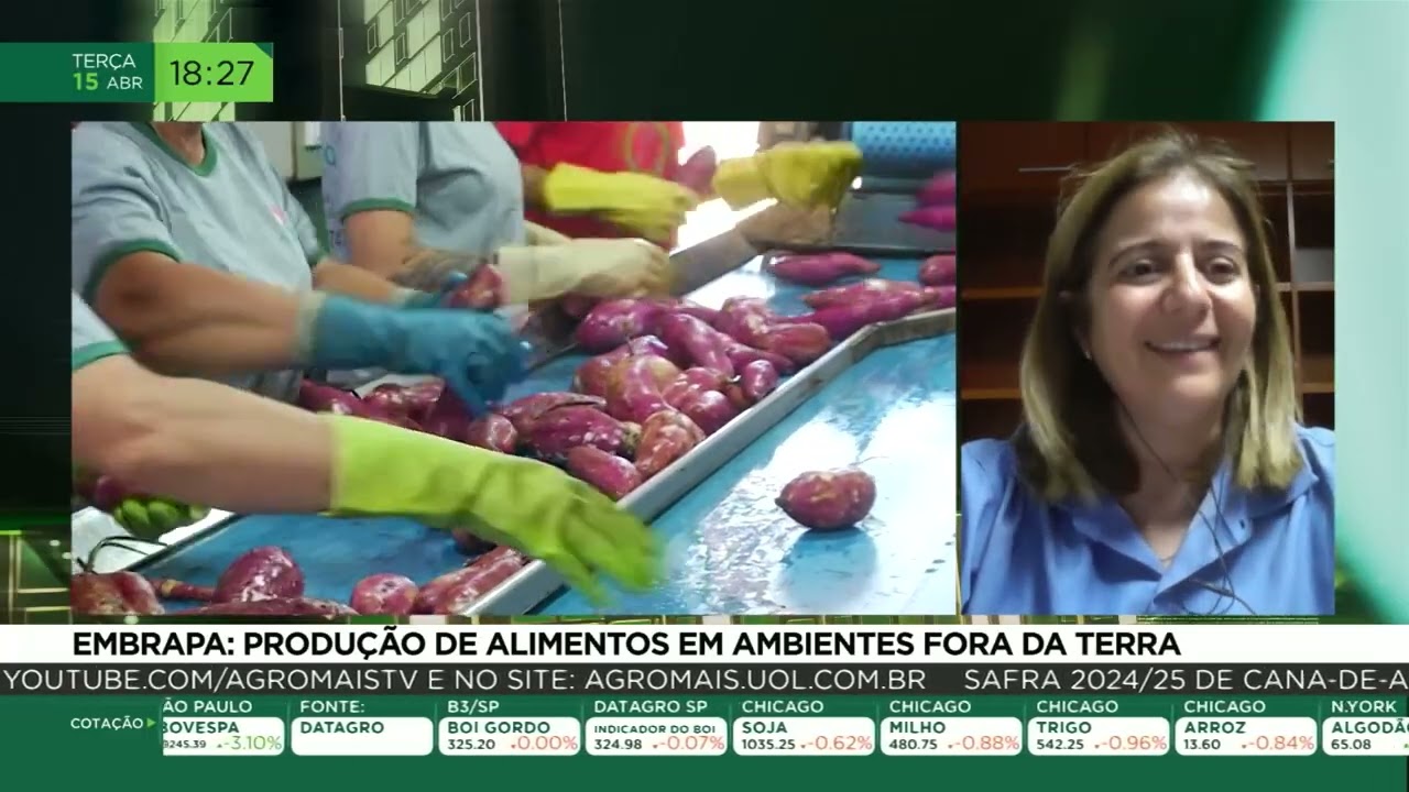 Embrapa: produção de alimentos em ambientes fora da terra