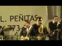 Zamacona y los yonic`s