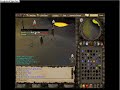 Sweeper Ownd & hi dudes2222 spec. Pk video2