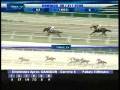 AMNB2008.wmv