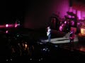 jonas brothers 3/7/08 jonas brothers 3/7/08