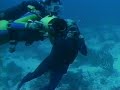 Aruba - Atlantis Submarines