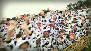 Cow Onesie World Record! – Cowaramup Western Australia