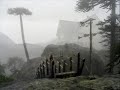 LLUVIAS DEL SUR - SCHWENKE & NILO