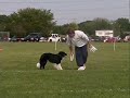 Mojo and Mark - First Competition