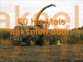 hakselen 2009