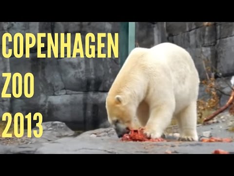 Zoo Denmark - Life in Denmark: Copenhagen Zoo. Recorded on 8/8/2013.
