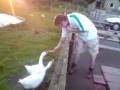 videos de Sprat.mp4