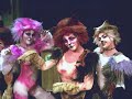 felinos ala media noche {cats}