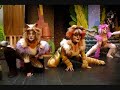 felinos ala media noche {cats}