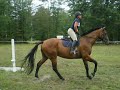 Boppus Warm-Up X rail