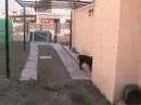 nuevo hogar parte 1