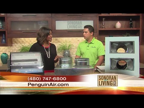 how to test for air quality in a home