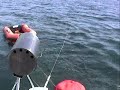 Our family and wheaton terriers on our sailboat