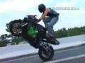 Pure Bred Riders - Intro to the Game (trailer)