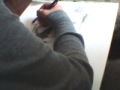 videos de Marlon Brando Speed Drawing