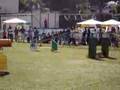 Salchicha video
