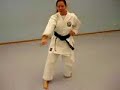 Kata de la escuela Motobu-ha Shito-ryu efectuada por la Sensei Olga Pallo de Estonia, no tiene sonido pero la técnica es buena