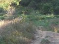 RM125 CLIMBING A HILL