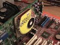 #202 - eVGA e-Geforce 4 Ti4600 Video Card