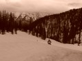 Fernie