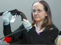 Cops: Entwistle Searched Web for Killing Methods