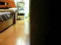 Metal Gear Stealth Cat 2: Substance