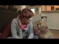 One Girl, One Pup