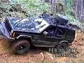 Wheelin TSF