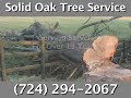 Solid Oak Tree Service, Sarver, PA
