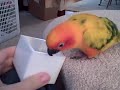 Make a Basket.AVI
