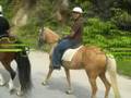 videos de Colmar Tropical, Malaysia