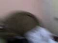 videos de 5t