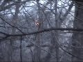 Haunted Wisconsin locations - Appleton - Kate Blood