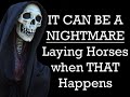 Want Make Money on Betfair Laying Horses to lose?