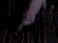 perro con pesadilla