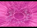 Devine Vs. Starr Ackerman - Scream Devine Vs. Starr Ackerman - Scream
