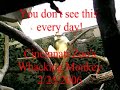 Whacking Monkey