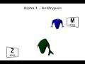 Alpha 1 Antitrypsin Deficiency