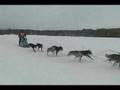 Sled Dog Races in Laconia, NH - 2008