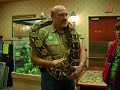 man with snake