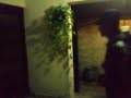 video 11